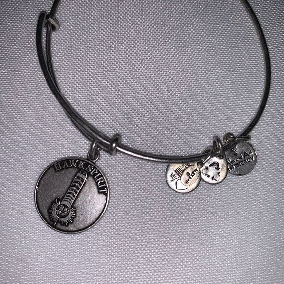 Alex and Ani Hawk spirit Charm Bangle, ALEX AND ANI HAWK SPIRIT CHARM BRACELET - Picture 2 of 5